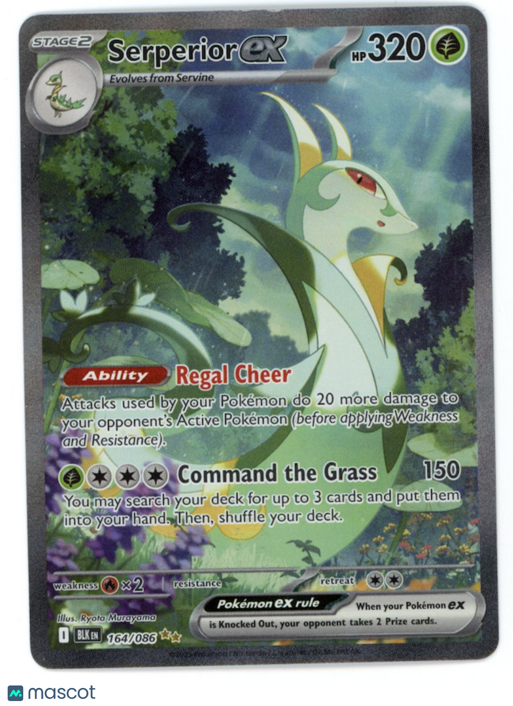 SERPERIOR EX 2025 Pokemon SV Black Bolt #164/86 Special Illustration Rare