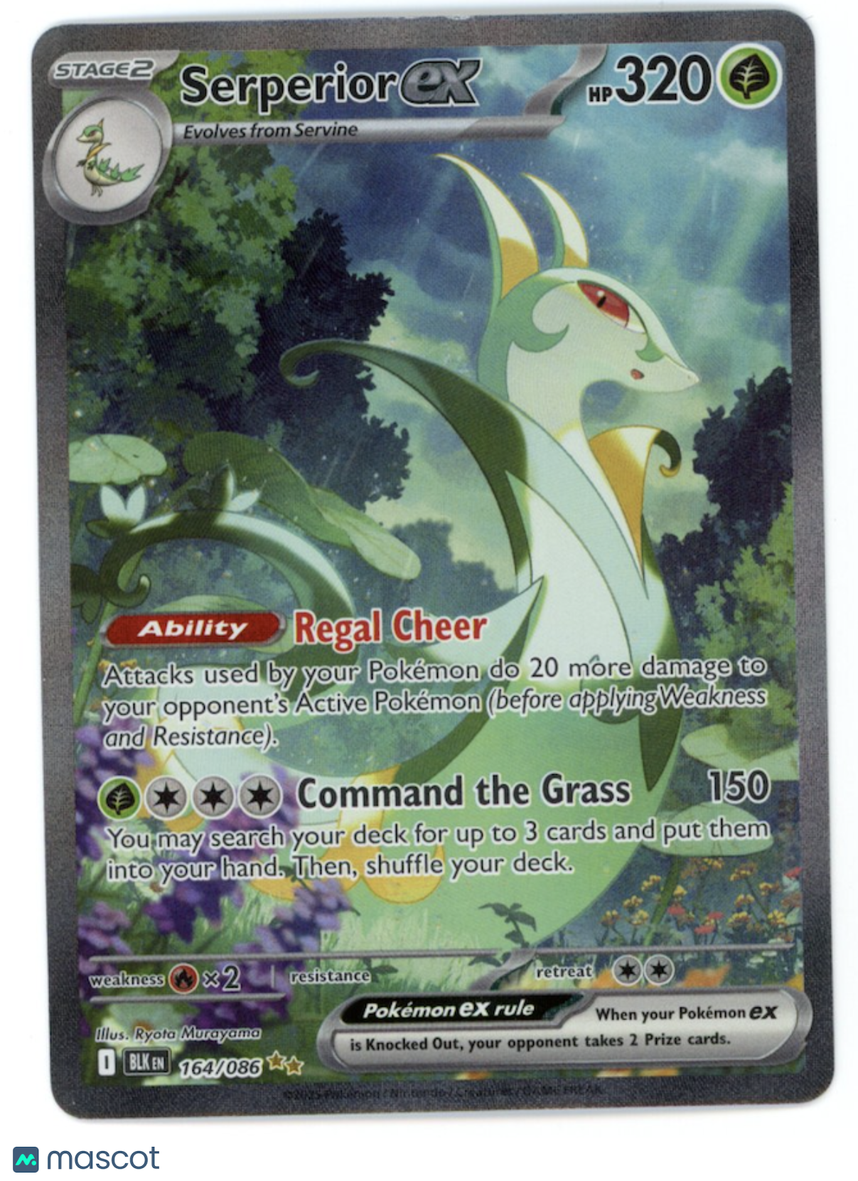 SERPERIOR EX 2025 Pokemon SV Black Bolt #164/86 Special Illustration Rare