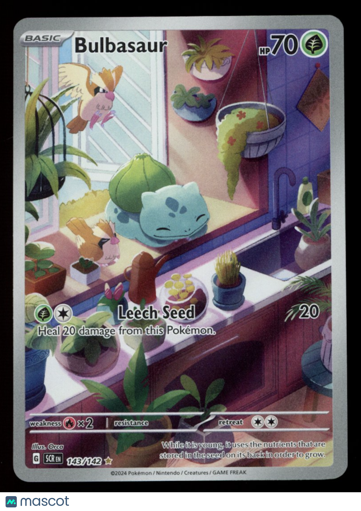 BULBASAUR 2024 Pokemon Scarlet & Violet Stellar Crown #143/142 Illustration Rare