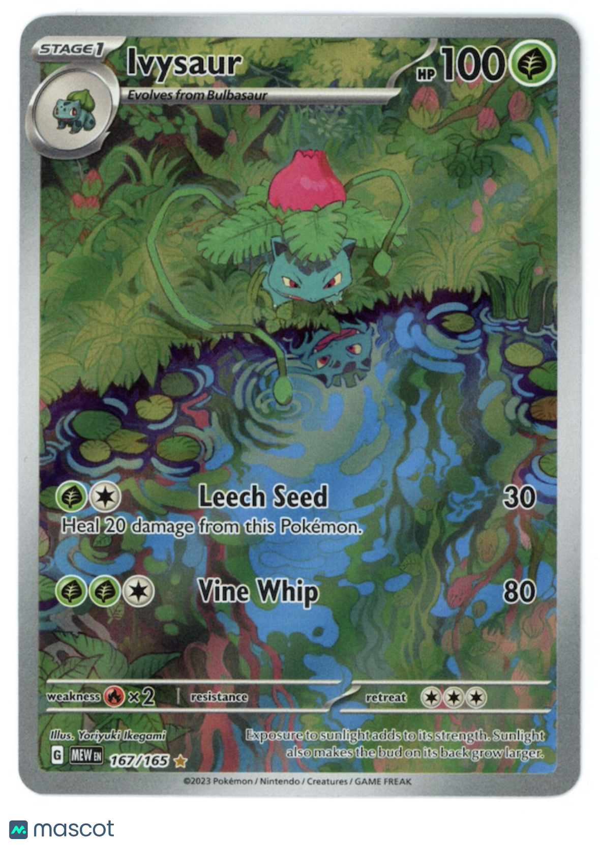 IVYSAUR 2023 Pokemon Scarlet Violet MEW 151 #167 Illustration Rare