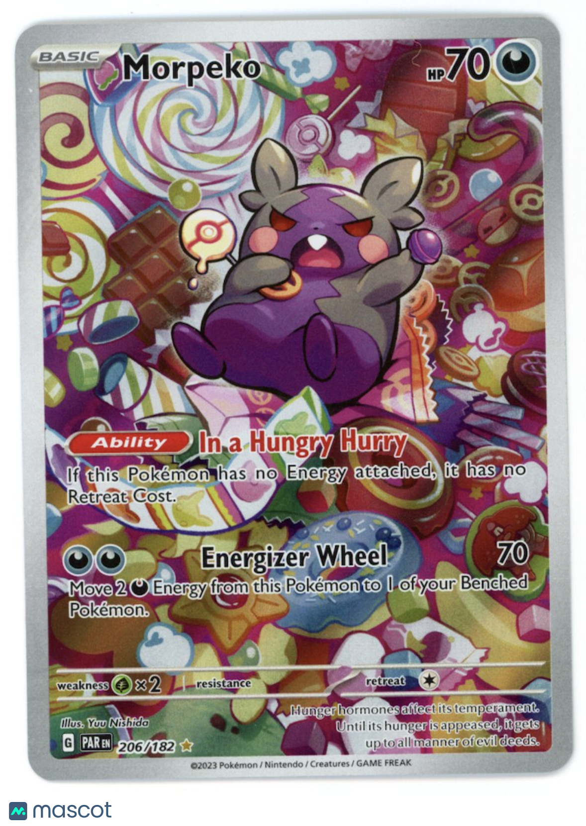 MORPEKO 2023 Pokemon Scarlet & Violet Paradox Rift Illustration Rare #206/182