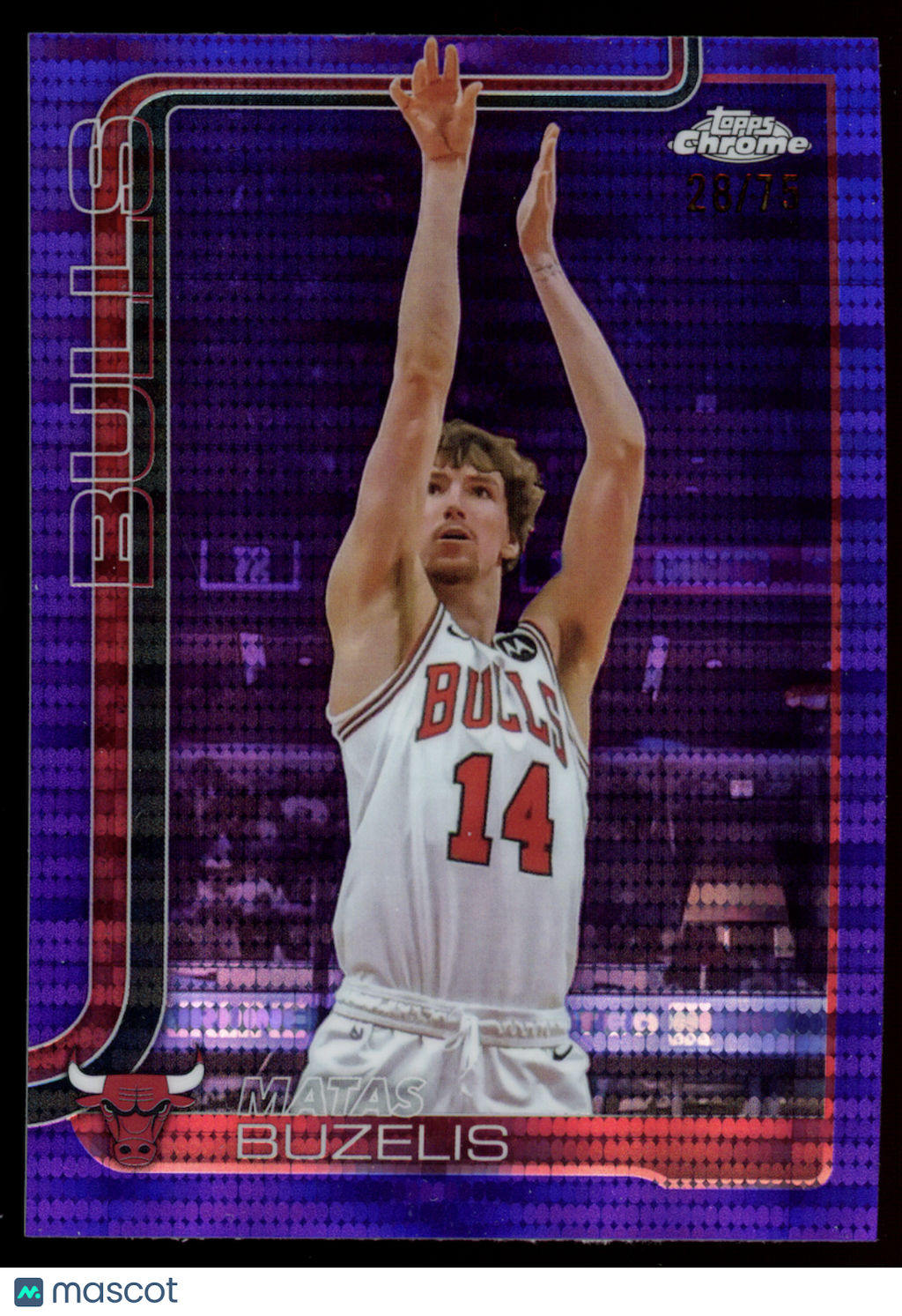 MATAS BUZELIS 2025-26 Topps Chrome Purple Pulsar Refractor /75 #231 Bulls