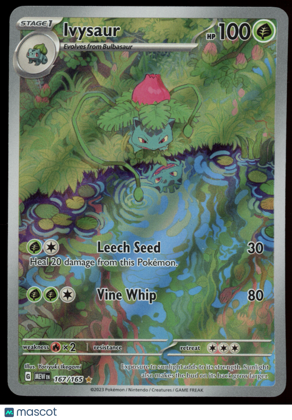 IVYSAUR Pokemon Scarlet & Violet MEW 151 #167 Illustration Rare