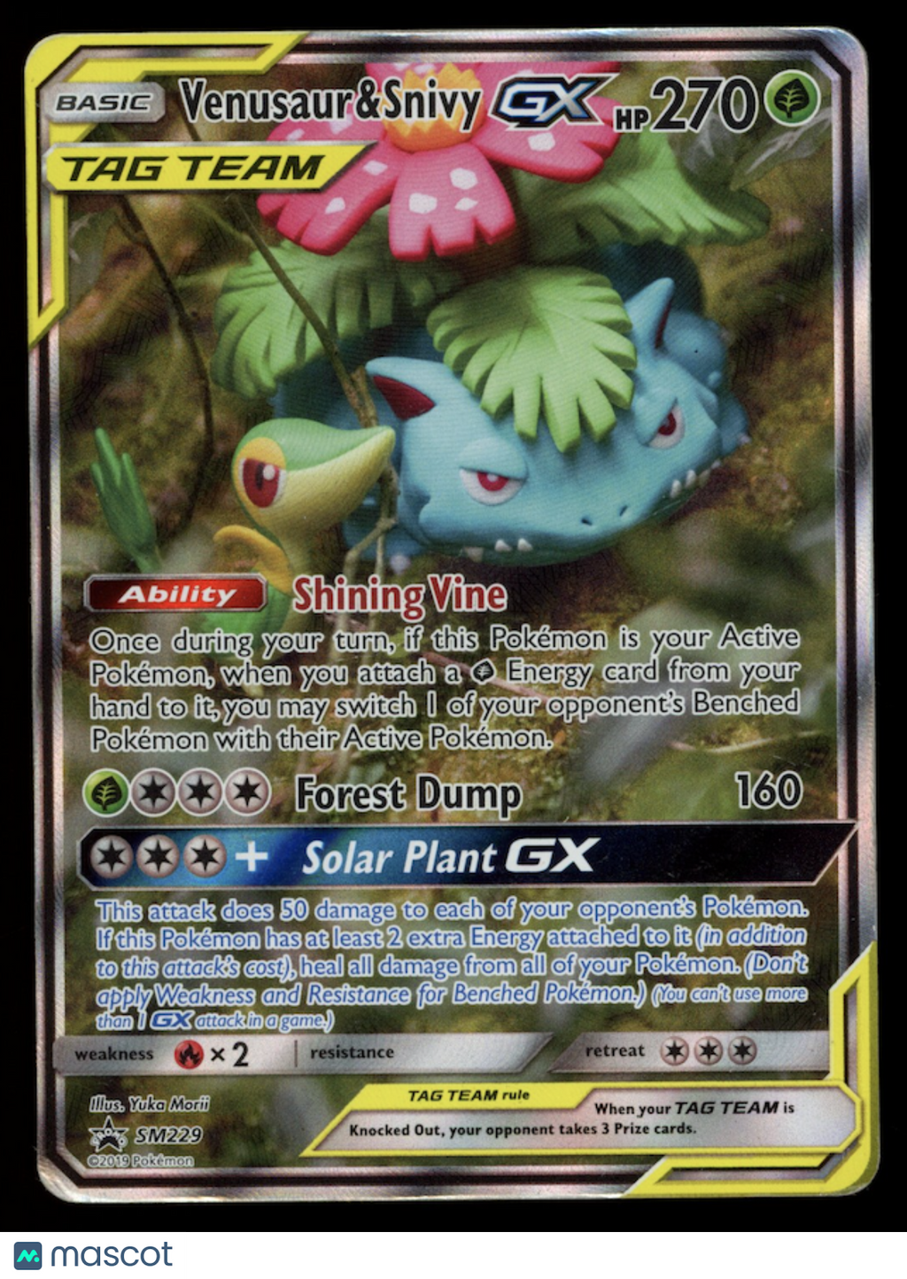VENUSAUR & SNIVY GX 2019 Pokemon Sun & Moon #SM229 Black Star Promo