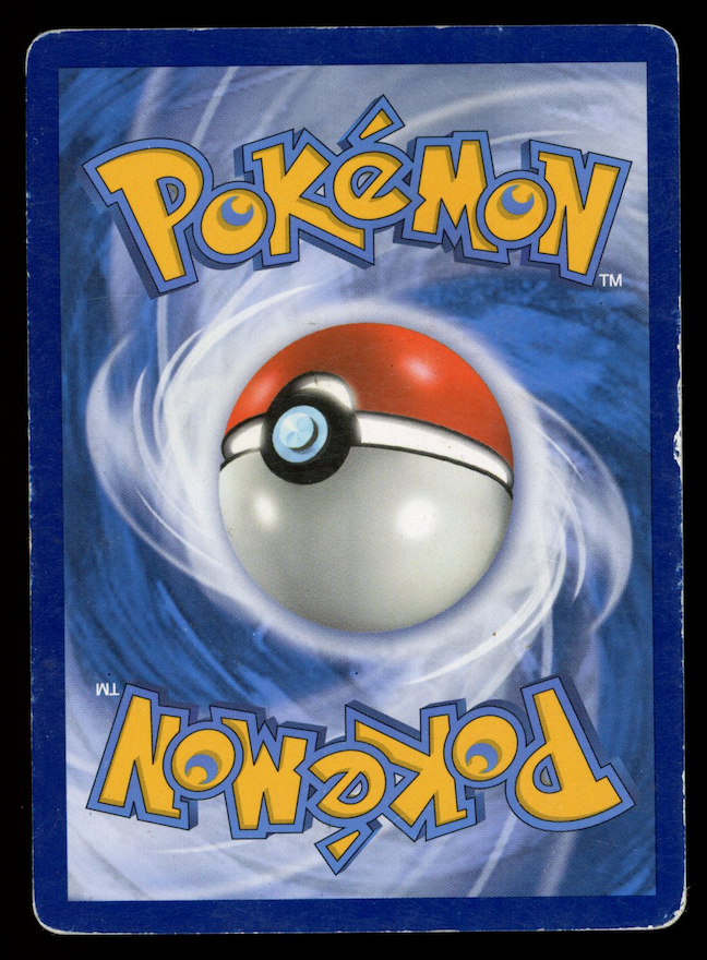 VENUSAUR & SNIVY GX 2019 Pokemon Sun & Moon #SM229 Black Star Promo