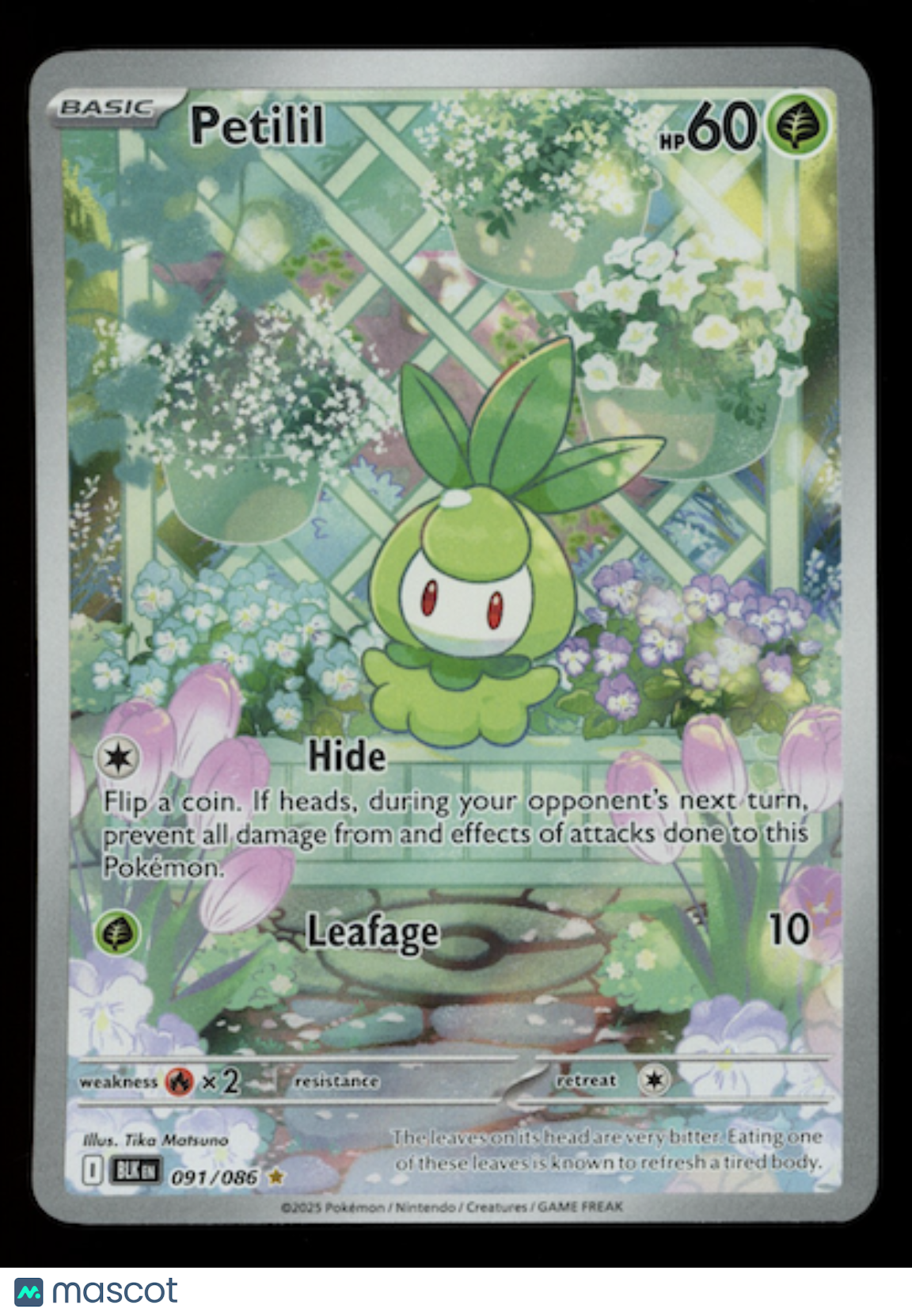 PETILIL 2025 Pokemon Scarlet & Violet Black Bolt #91/86 Illustration Rare