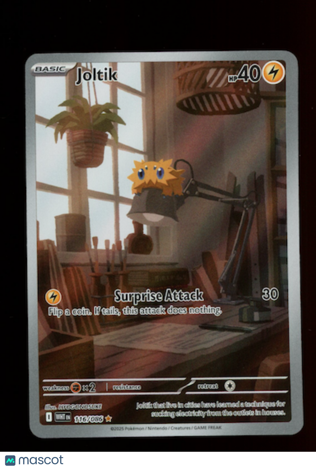JOLTIK 2025 Pokemon Scarlet & Violet White Flare #116/86 Illustration Rare