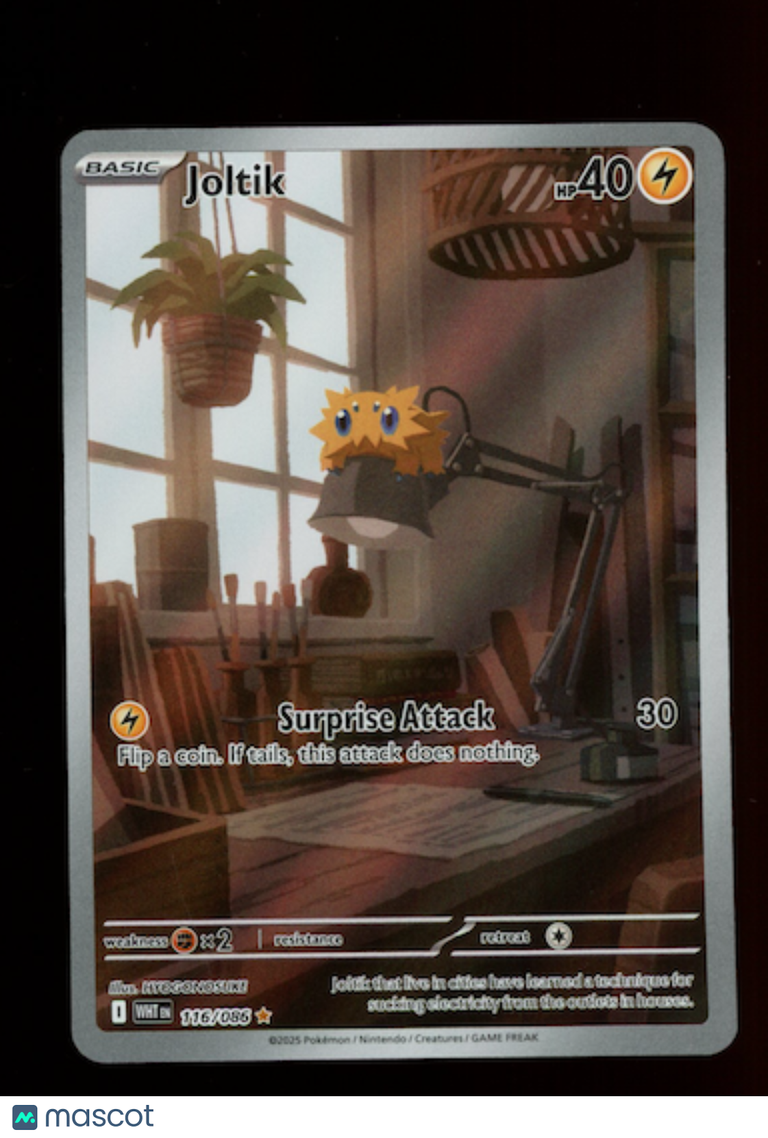 JOLTIK 2025 Pokemon Scarlet & Violet White Flare #116/86 Illustration Rare