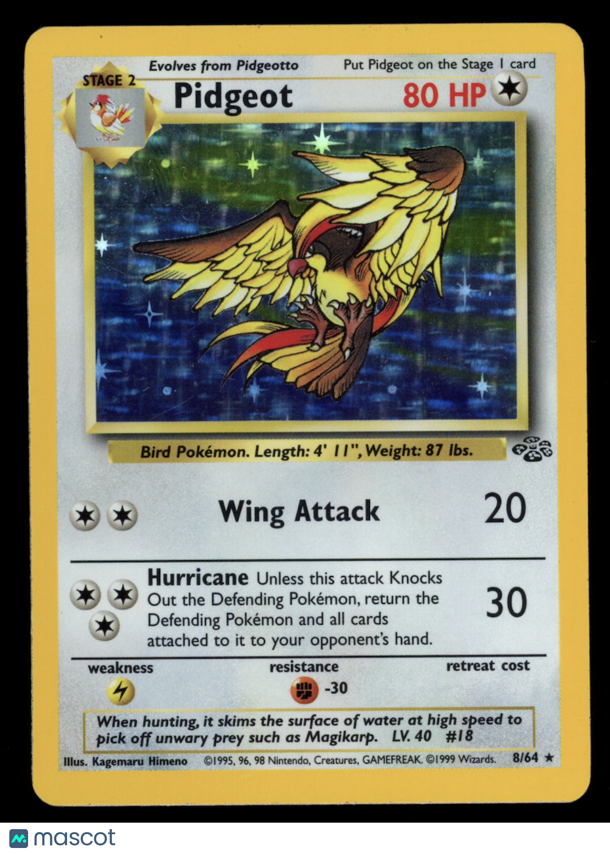 PIDGEOT 1999 Pokemon Jungle #8/64 Holo Rare