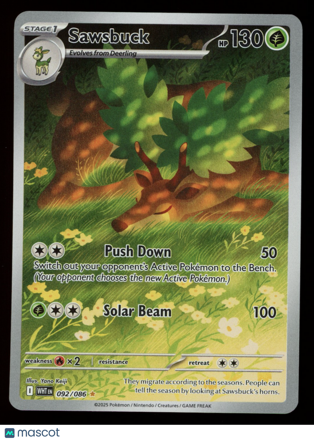 SAWSBUCK 2025 Pokemon Scarlet & Violet White Flare Holo Illustration Rare #92/86