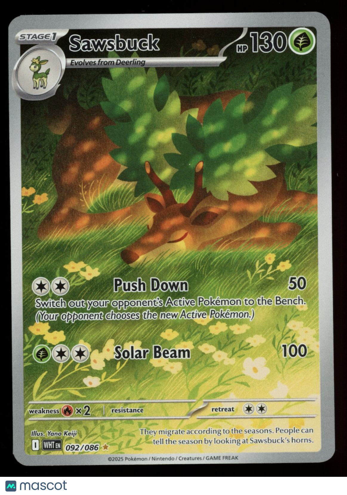 SAWSBUCK 2025 Pokemon Scarlet & Violet White Flare Holo Illustration Rare #92/86