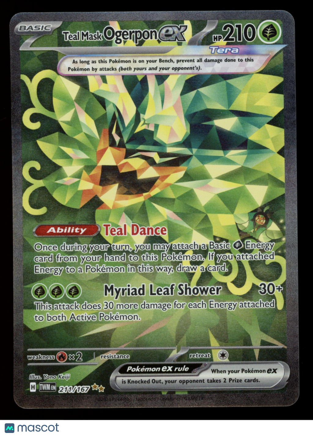 TEAL MASK OGERPON EX Pokemon Twilight Masquerade #211 Special Illustration Rare