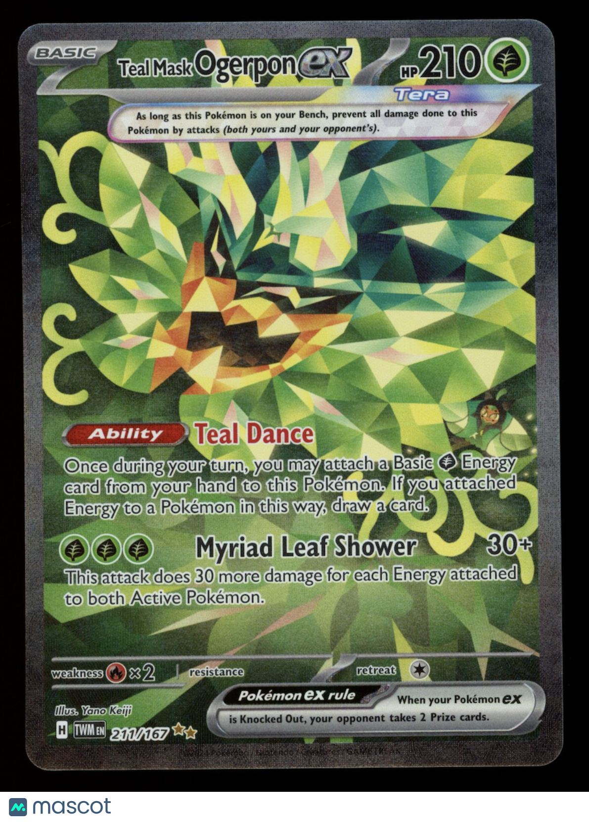 TEAL MASK OGERPON EX Pokemon Twilight Masquerade #211 Special Illustration Rare