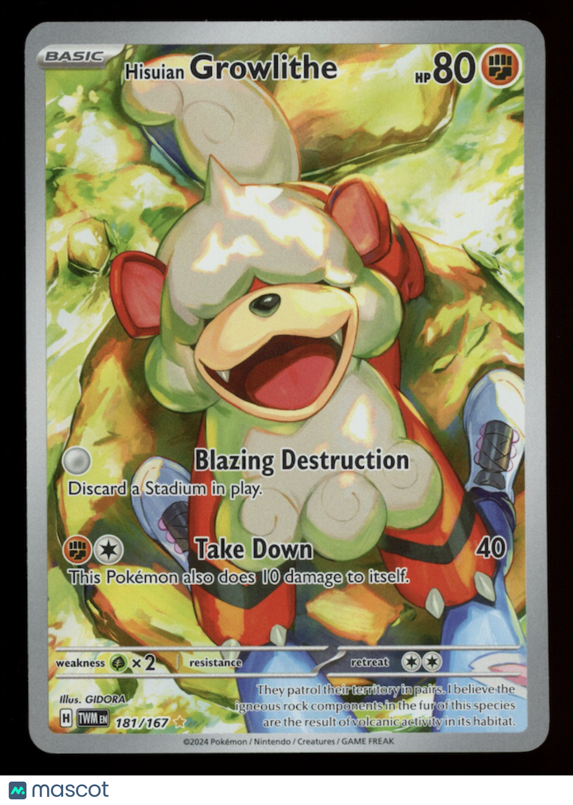 HISUIAN GROWLITHE 2024 Pokemon Twilight Masquerade #181 Illustration Rare