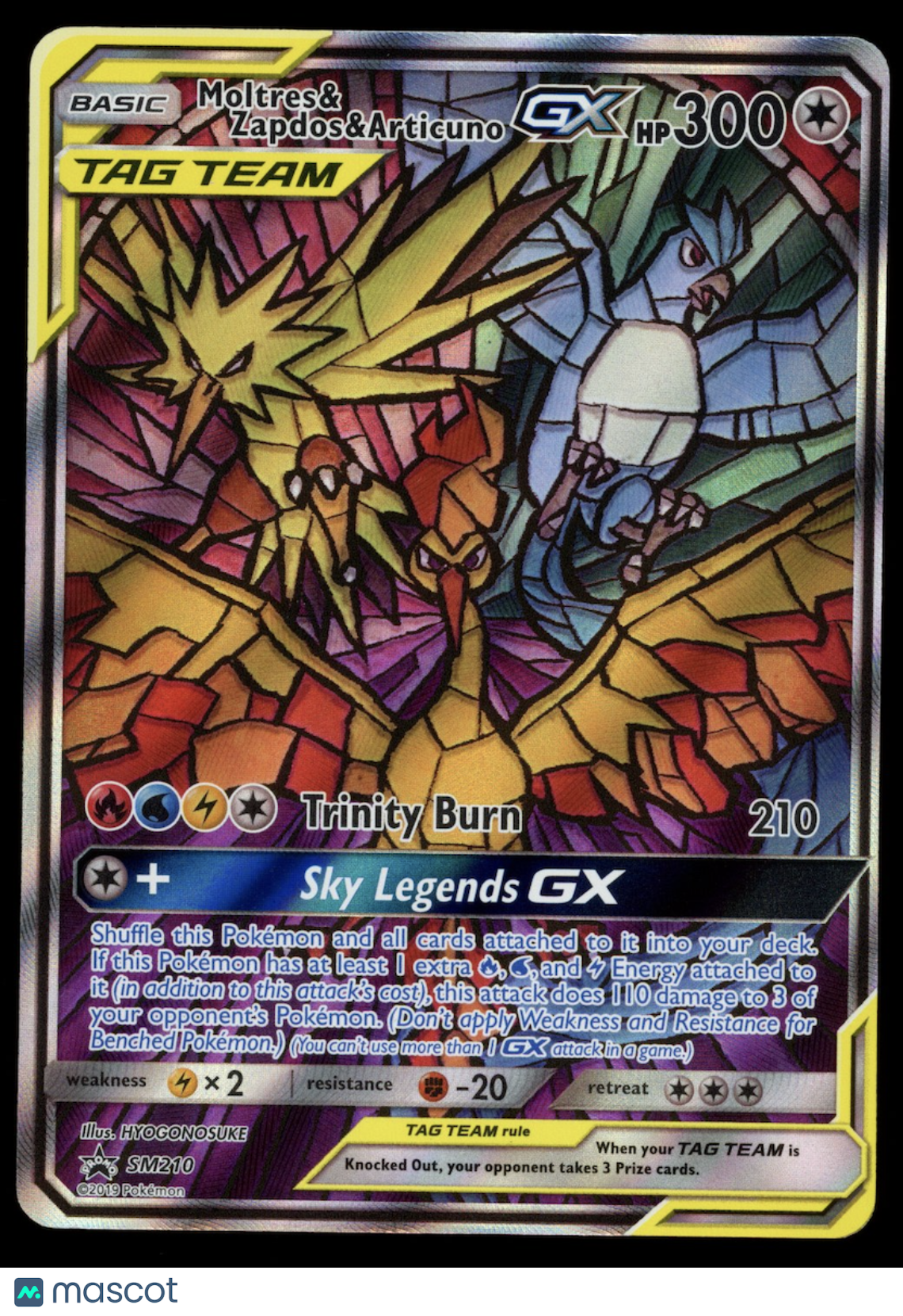 MOLTRES & ZAPDOS & ARTICUNO GX 2019 Pokemon Sun & Moon #SM210 Black Star Promo