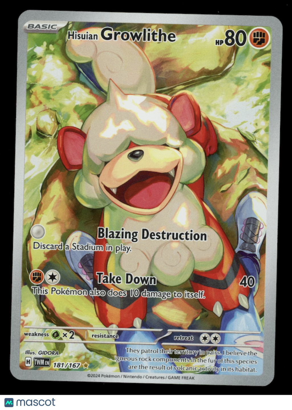 HISUIAN GROWLITHE 2024 Pokemon Twilight Masquerade #181 Illustration Rare