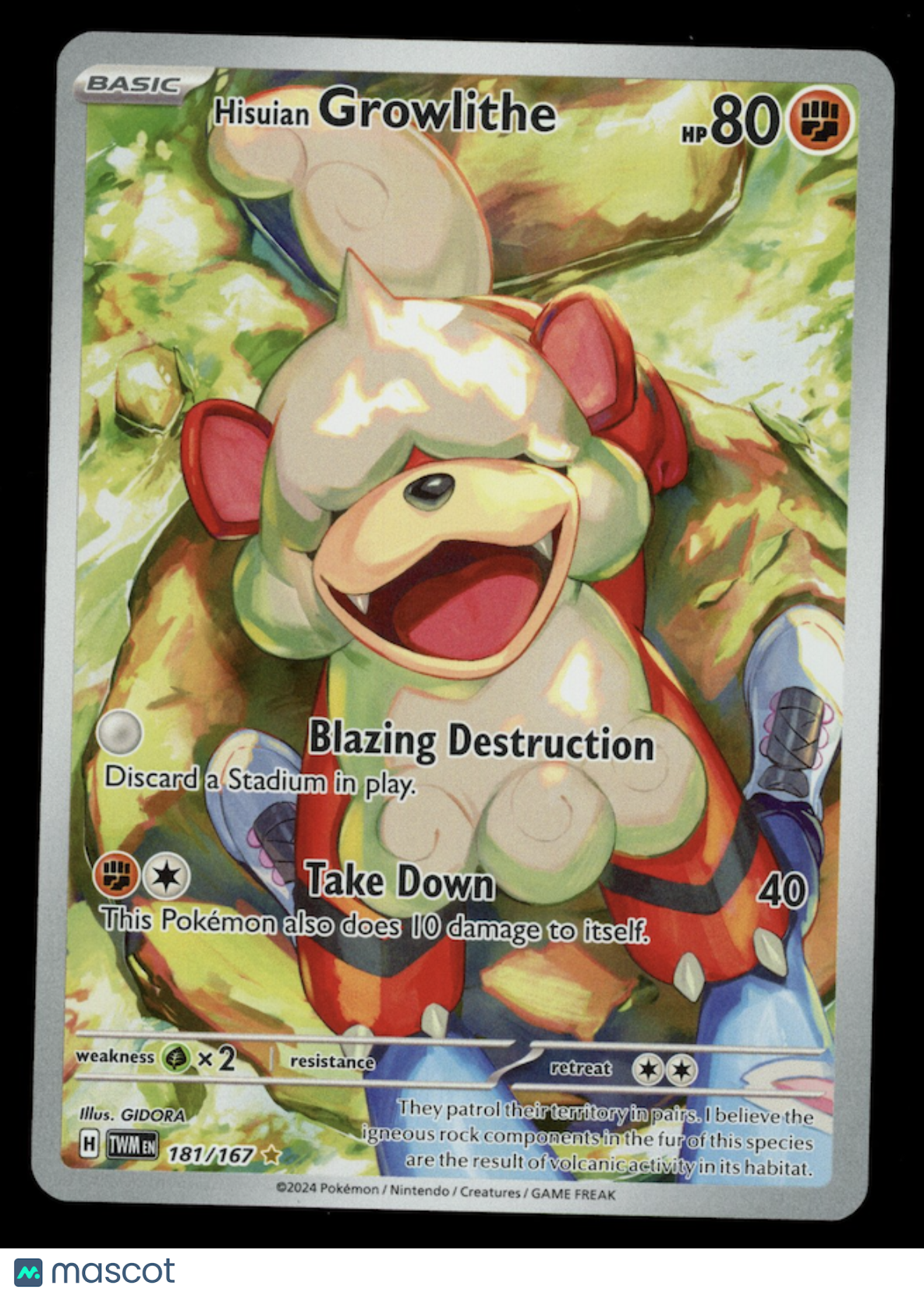 HISUIAN GROWLITHE 2024 Pokemon Twilight Masquerade #181 Illustration Rare