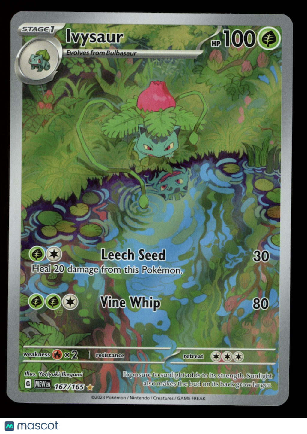 IVYSAUR 2023 Pokemon Scarlet & Violet 151 #167 Illustration Rare