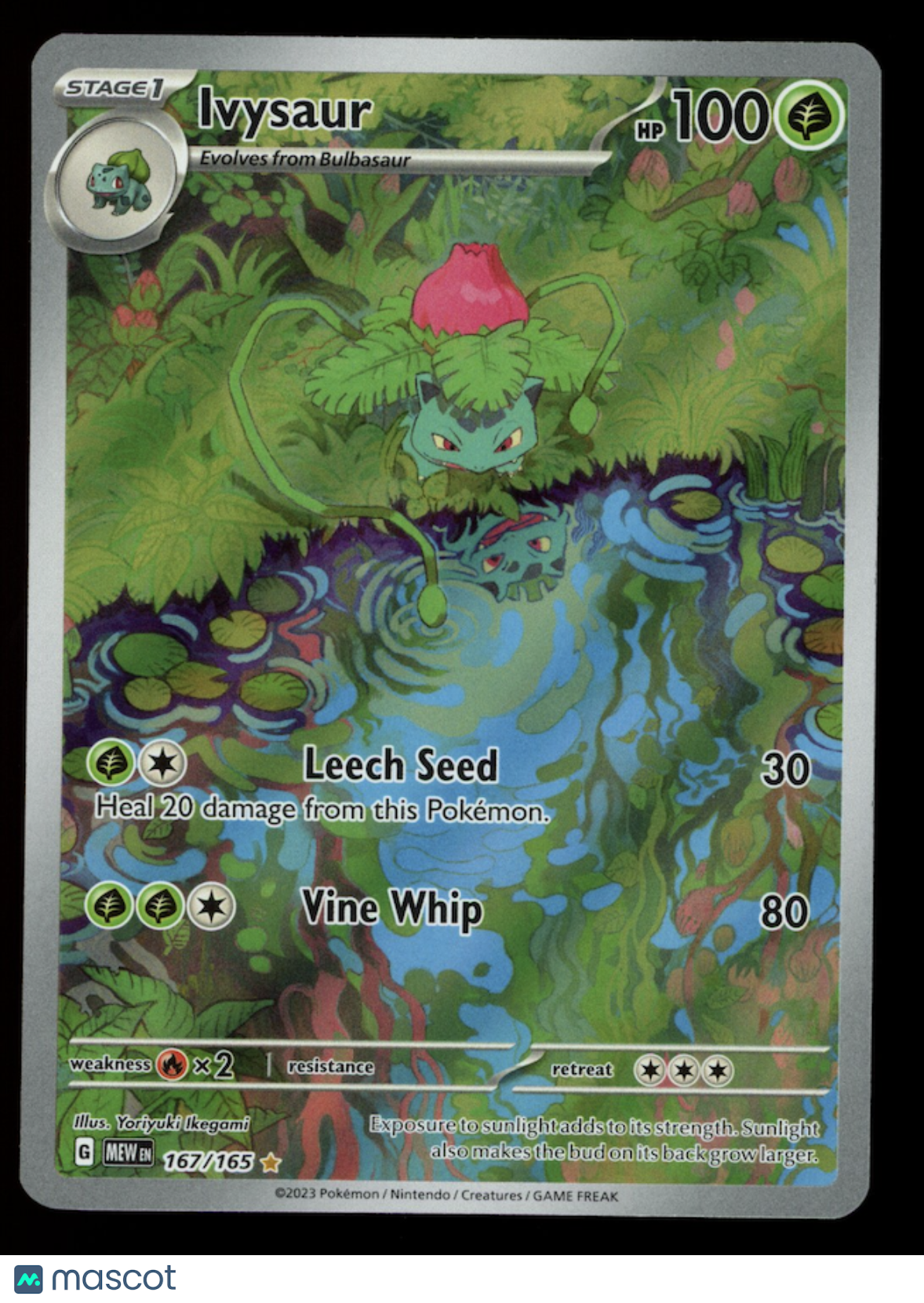 IVYSAUR 2023 Pokemon Scarlet & Violet 151 #167 Illustration Rare