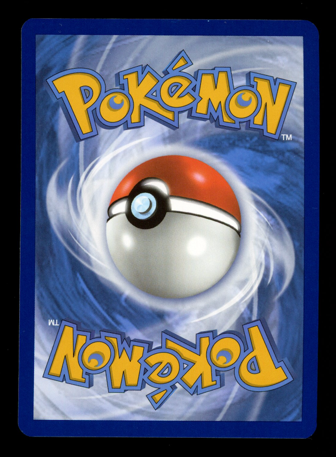 MORPEKO 2023 Pokemon Scarlet Violet Paradox Rift Illustration Rare #206/182