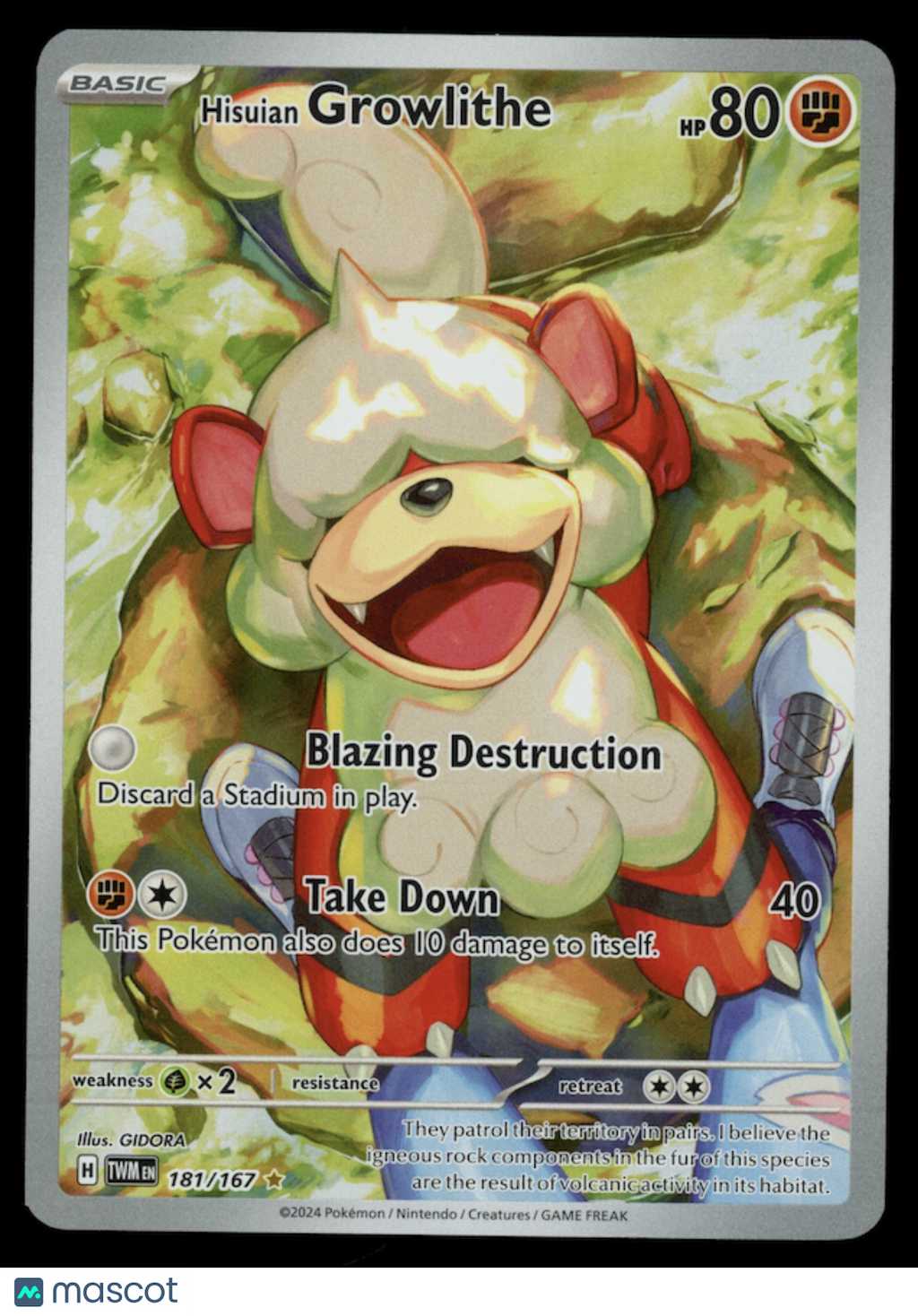 HISUIAN GROWLITHE 2024 Pokemon S&V Twilight Masquerade Illustration Rare #181