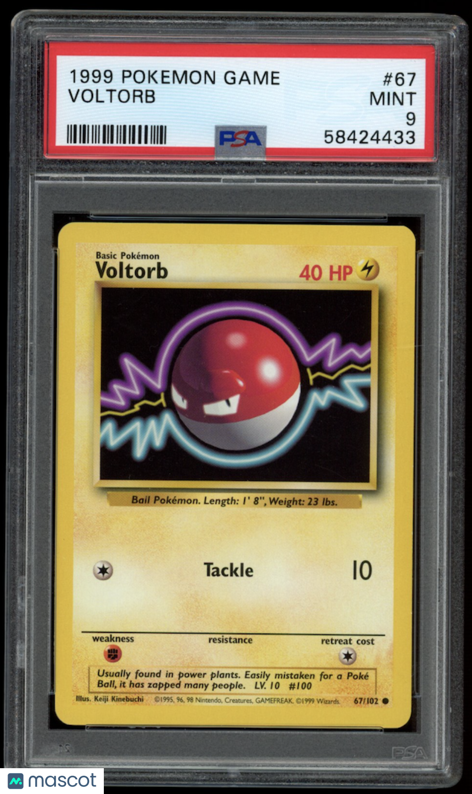 VOLTORB 1999 Pokemon Base Set #67 PSA 9 MINT