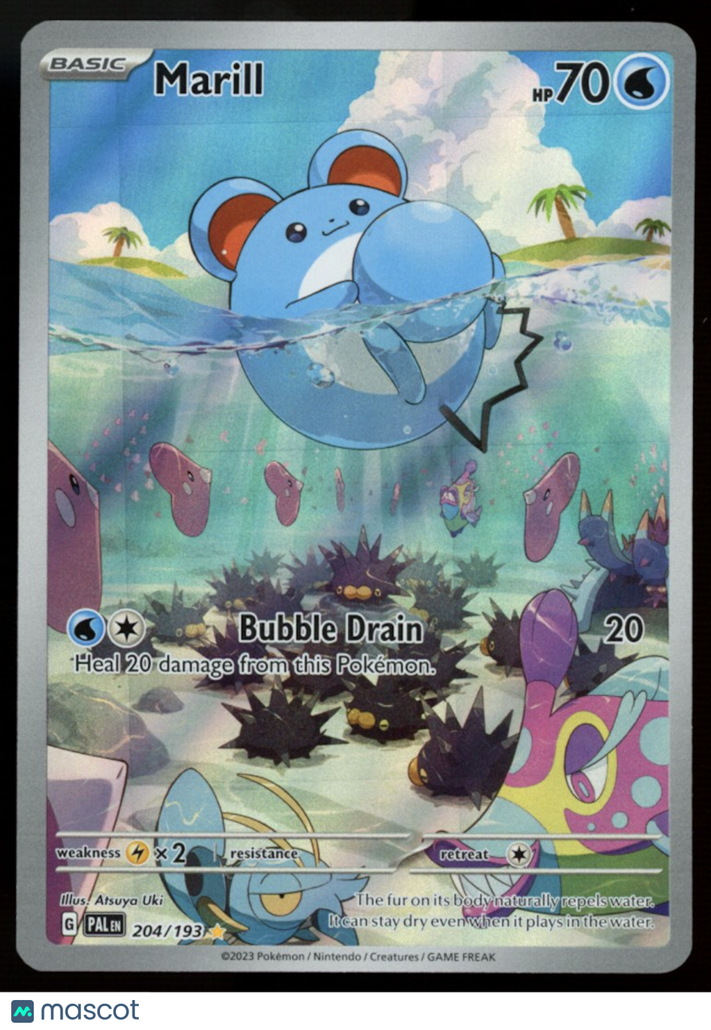 MARILL 2023 Pokemon Scarlet & Violet Paldea Evolved Illustration Rare #204/193