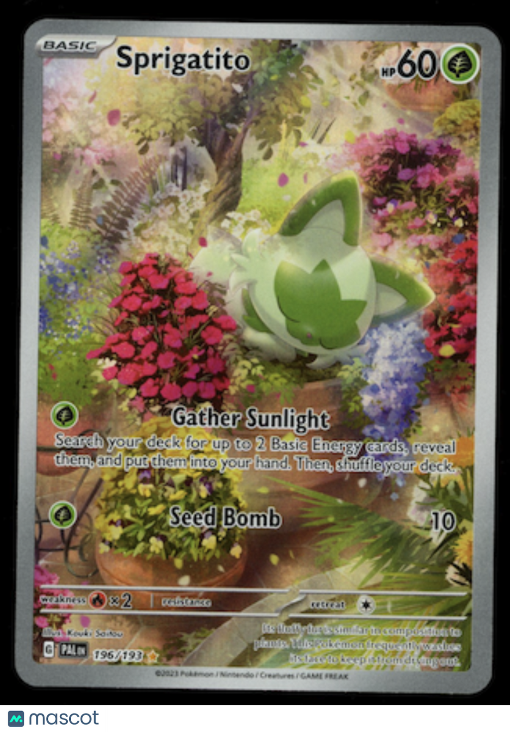 SPRIGATITO 2023 Pokemon S&V Paldea Evolved #196/193 Illustration Rare