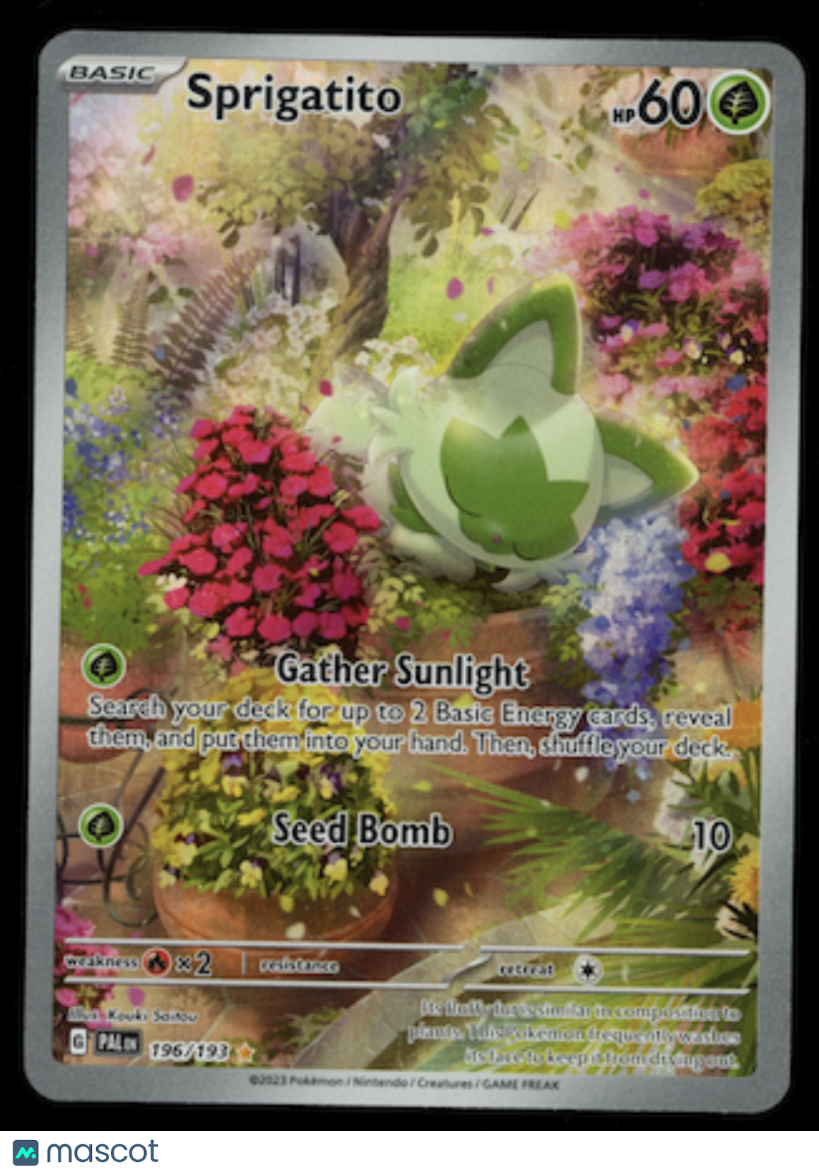 SPRIGATITO 2023 Pokemon S&V Paldea Evolved #196/193 Illustration Rare