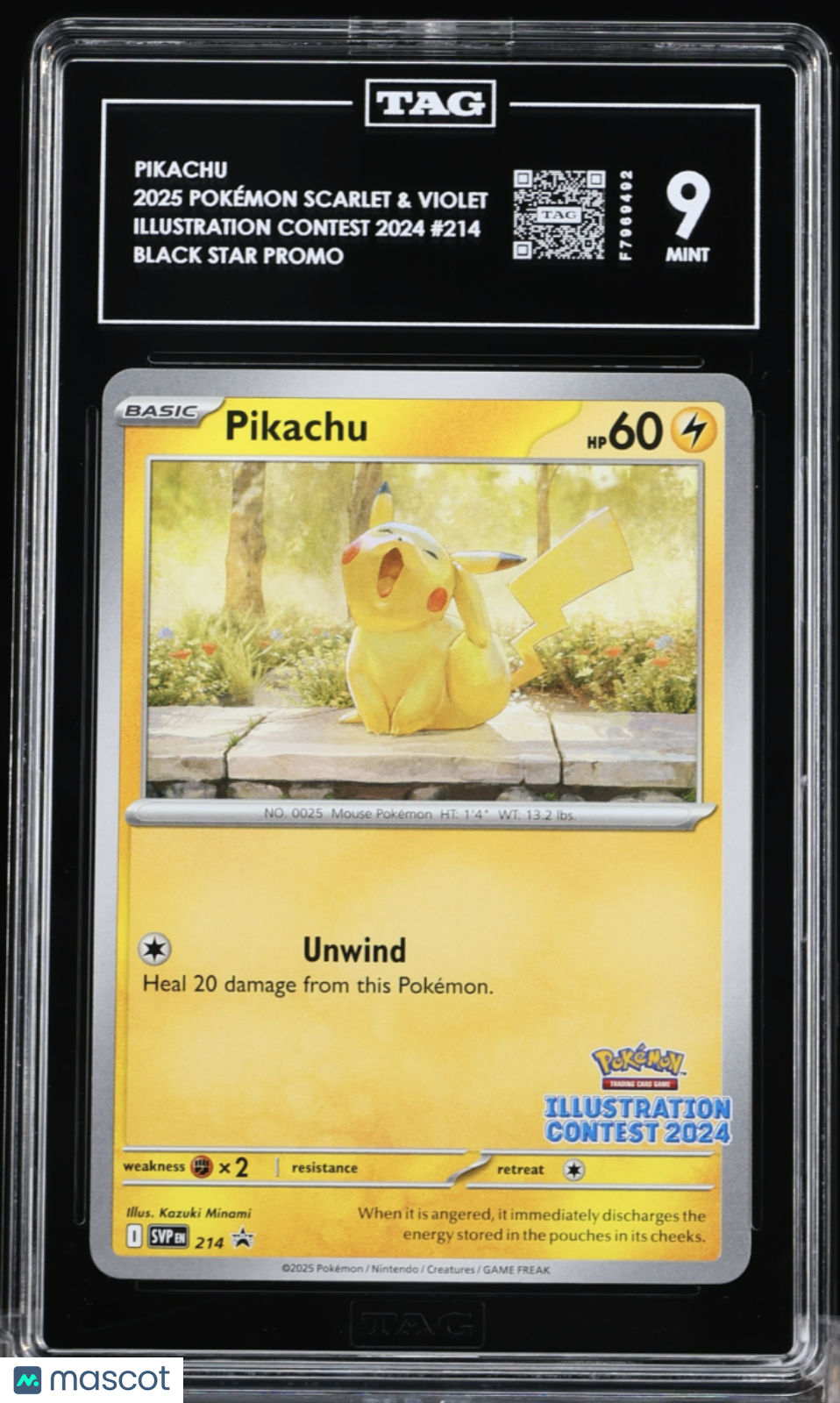 PIKACHU 2025 Pokemon Scarlet & Violet Illustration Contest 2024 #214 Promo TAG 9