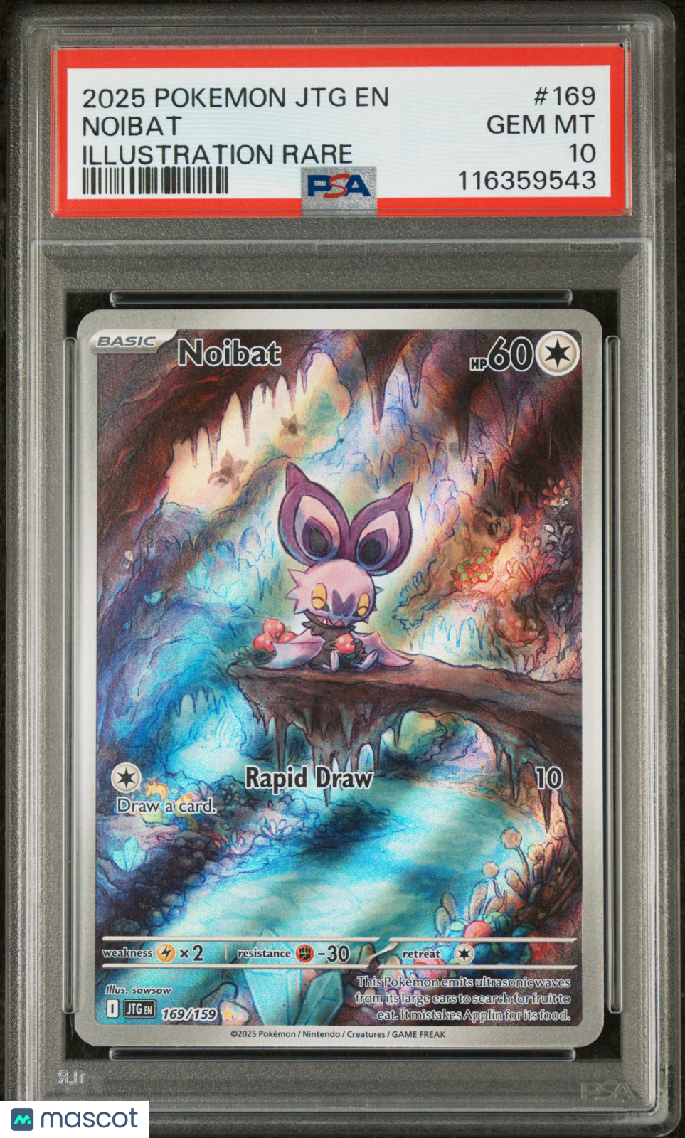 NOIBAT 2025 Pokemon S&V Journey Together #169 Illustration Rare PSA 10