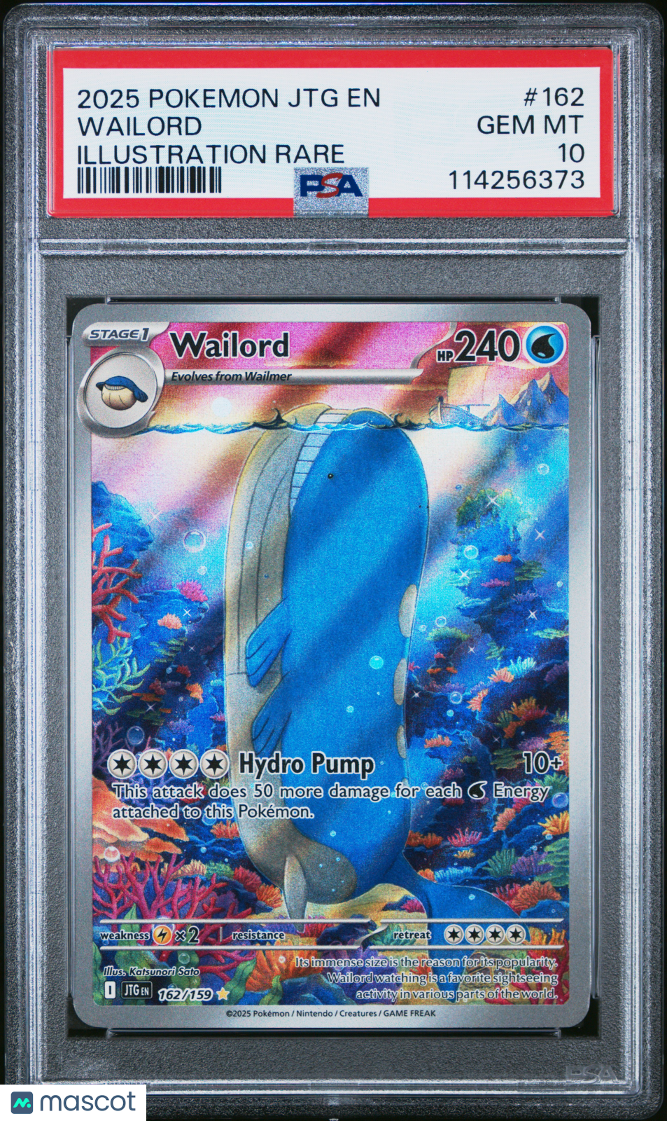 WAILORD Pokemon Scarlet Violet Journey Together #162 Illustration Rare PSA 10