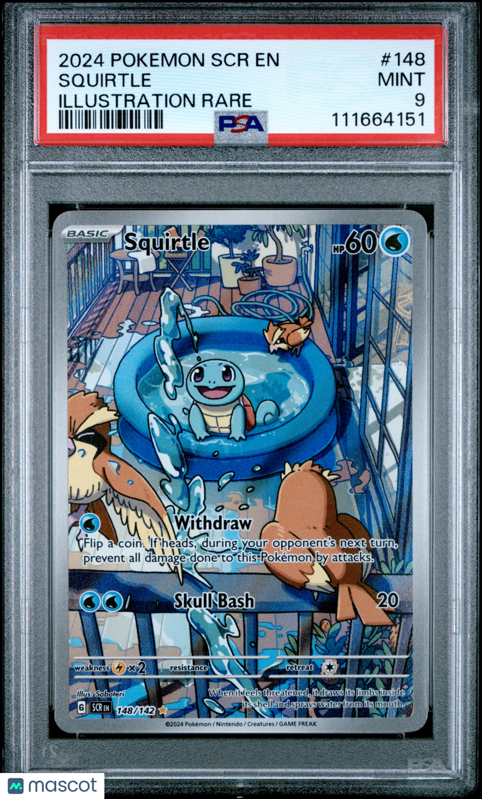 SQUIRTLE 2024 Pokemon S&V Stellar Crown #148 Illustration Rare PSA 9