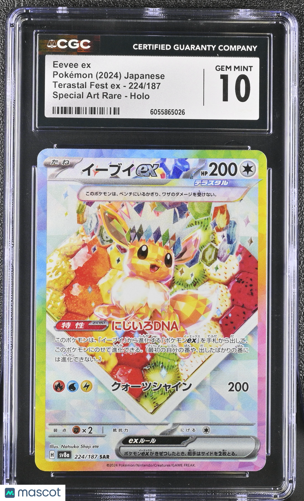 EEVEE EX 2024 Pokemon Japanese Terastal Festival Special Art Rare #224 CGC 10