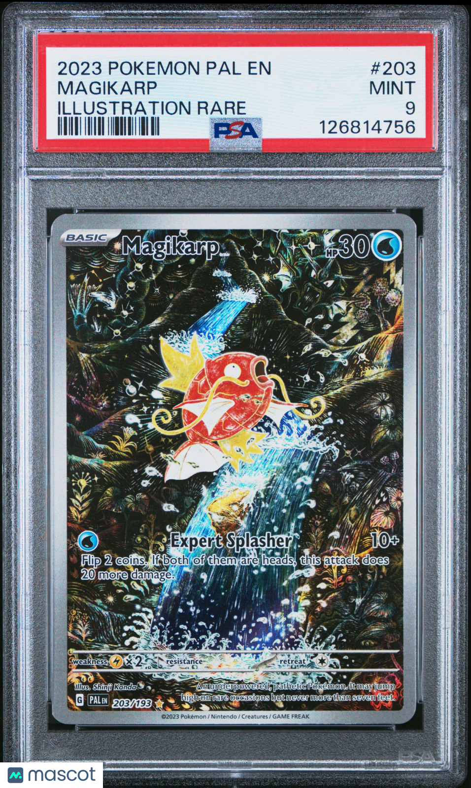 MAGIKARP 2023 Pokemon Scarlet Violet Paldea Evolved #203 Illustration Rare PSA 9