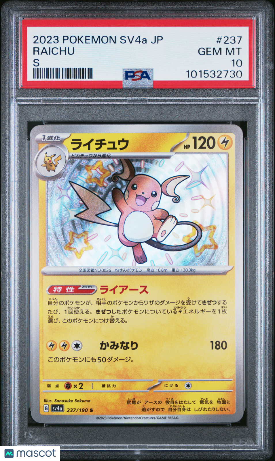 RAICHU 2023 Pokemon Japanese Shiny Treasure EX #237 S PSA 10