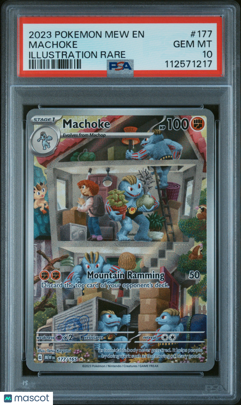 MACHOKE 2023 Pokemon Scarlet & Violet 151 Illustration Rare #177 PSA 10