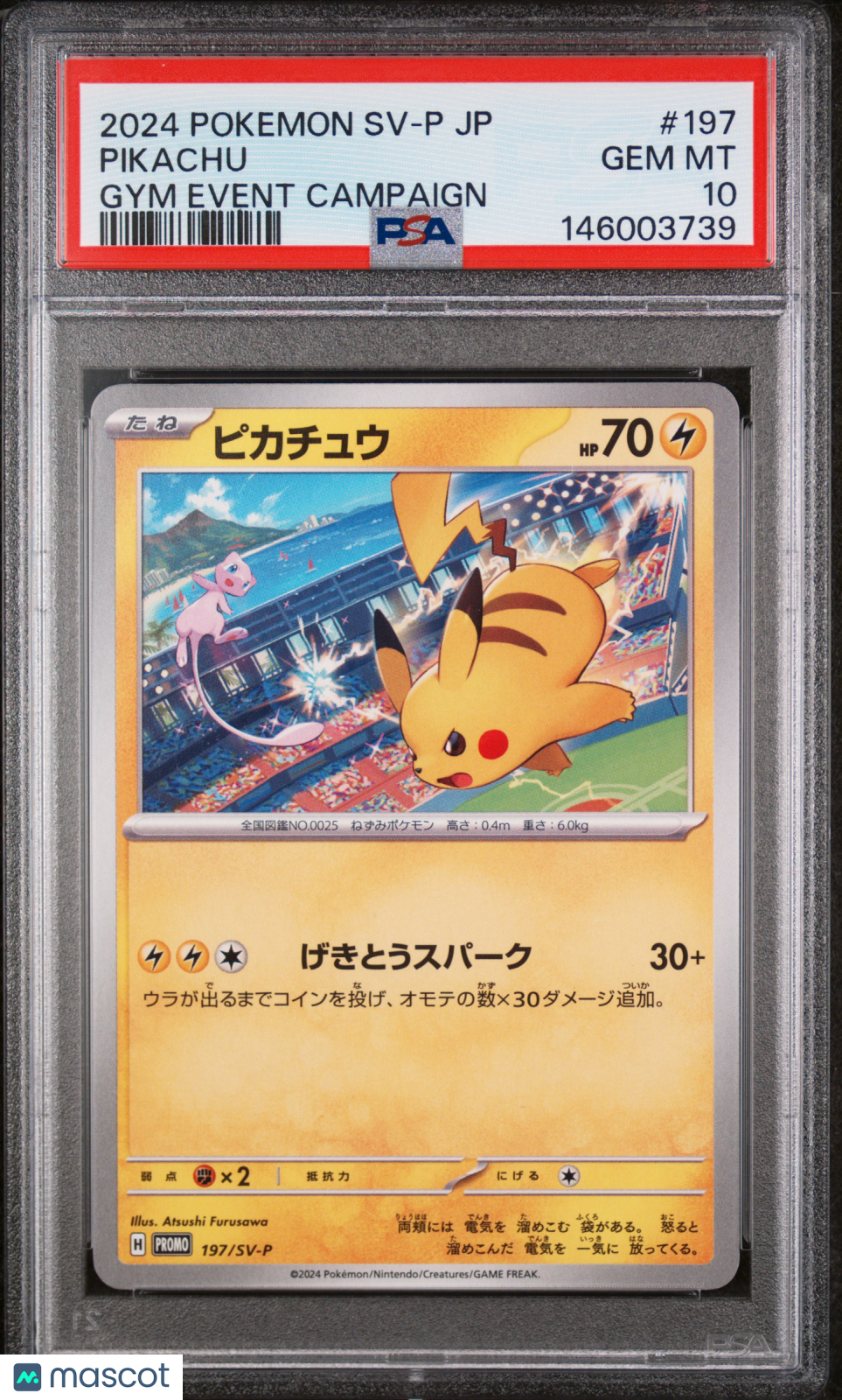 PIKACHU 2024 Pokemon Japanese SV-P Promo Gym Event Campaign #197 PSA 10