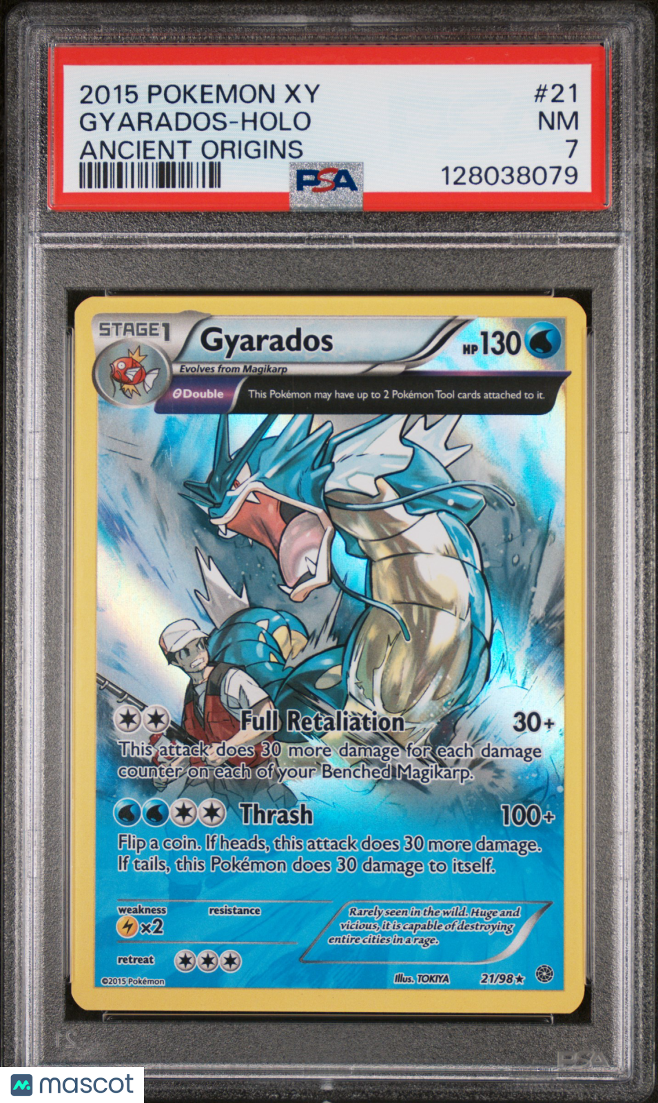 GYARADOS 2015 Pokemon XY Ancient Origins Holo #21 PSA 7 Near Mint