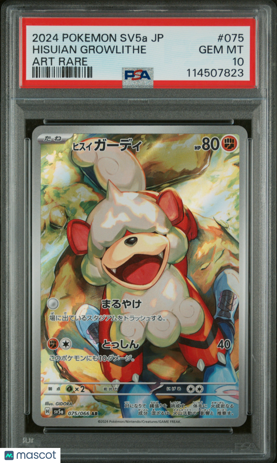 HISUIAN GROWLITHE 2024 Japanese Pokemon sv5a Crimson Haze #75 Art Rare PSA 10
