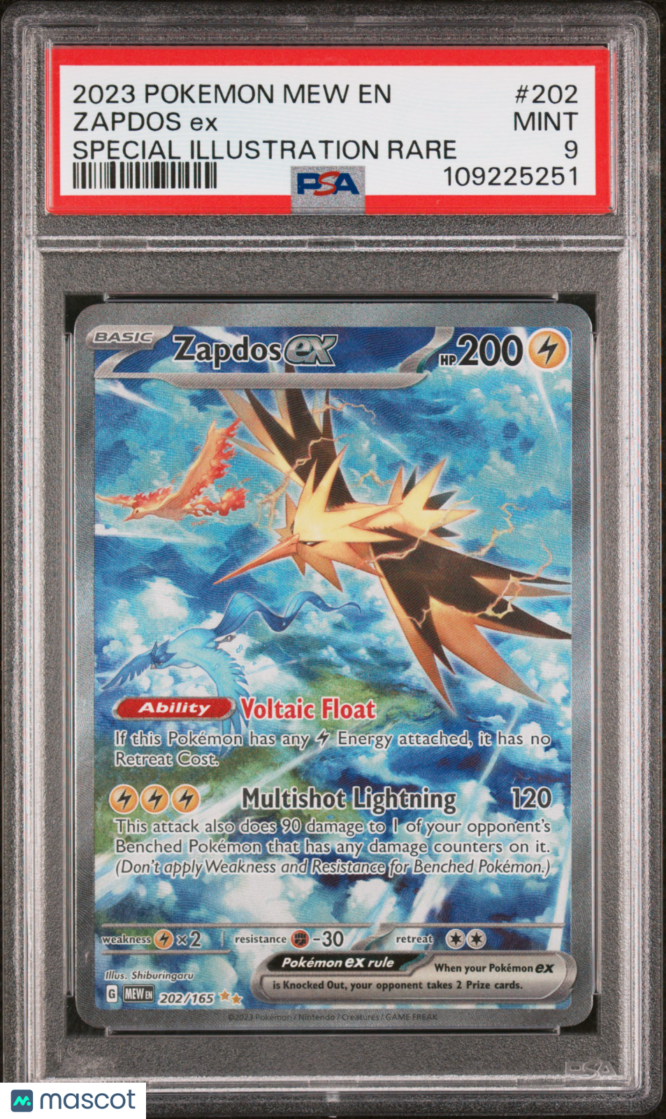 ZAPDOS EX 2023 Pokemon Mew EN 151 #202 Special Illustration Rare PSA 9 MINT
