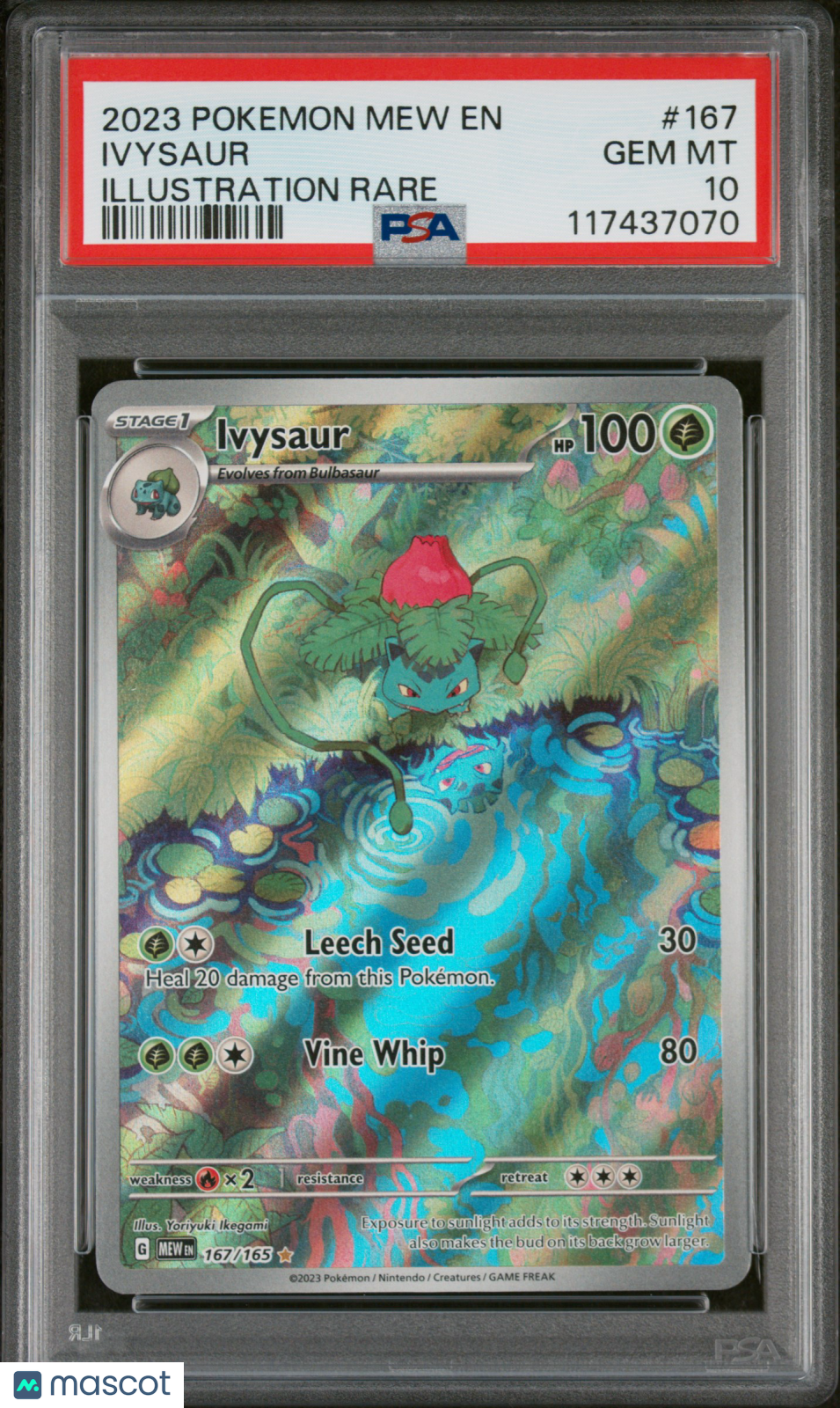 IVYSAUR 2023 Pokemon Mew 151 #167 Illustration Rare PSA 10