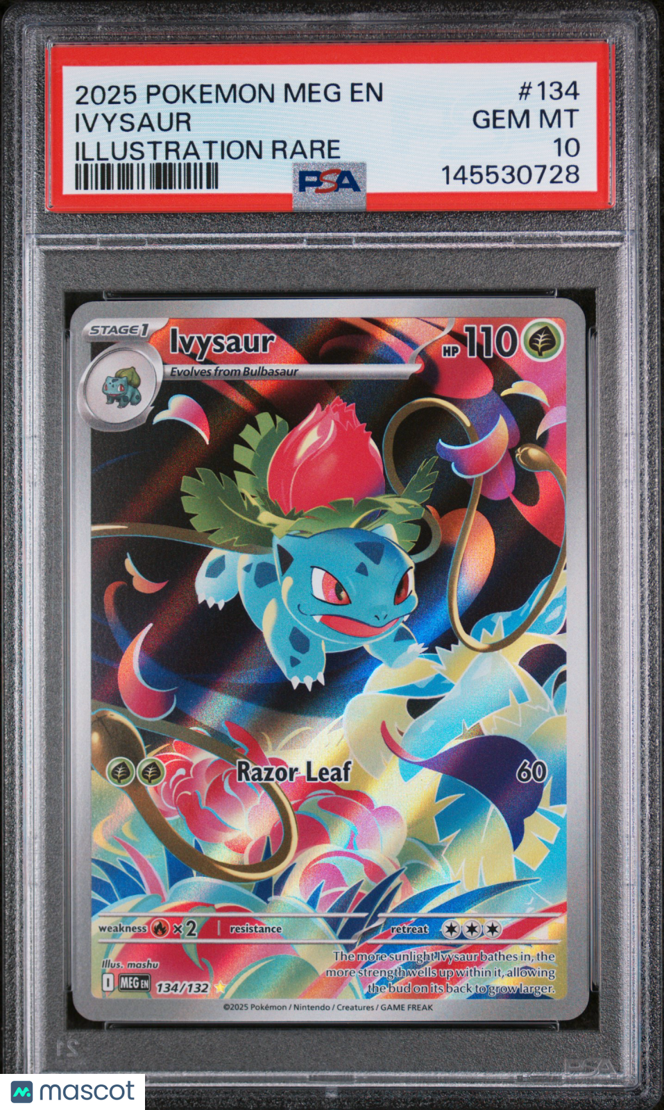 IVYSAUR 2025 Pokemon Mega Evolution #134 Illustration Rare PSA 10
