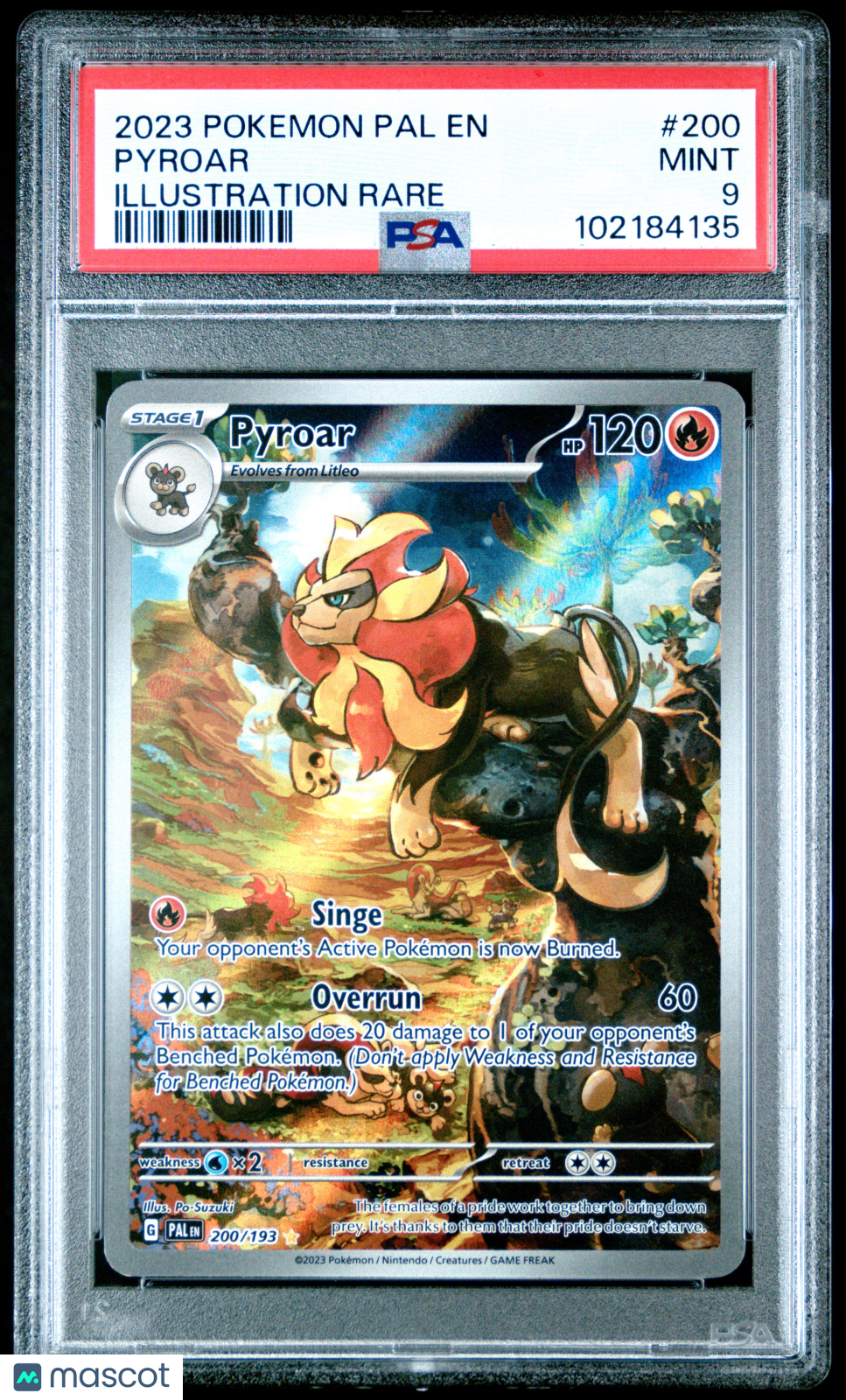 PYROAR 2023 Pokemon Paldea Evolved #200 Illustration Rare PSA 9