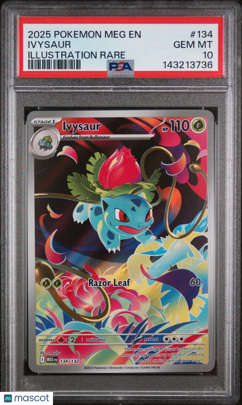 IVYSAUR 2025 Pokemon Mega Evolution Illustration Rare #134 PSA 10