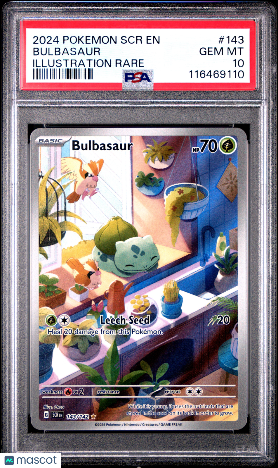 BULBASAUR Pokemon Scarlet & Violet Stellar Crown Illustration Rare PSA 10 #143