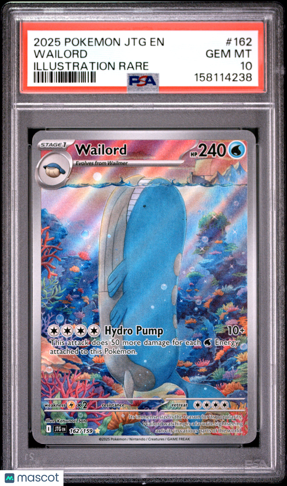 WAILORD 2025 Pokemon S&V Journey Together Illustration Rare #162 PSA 10
