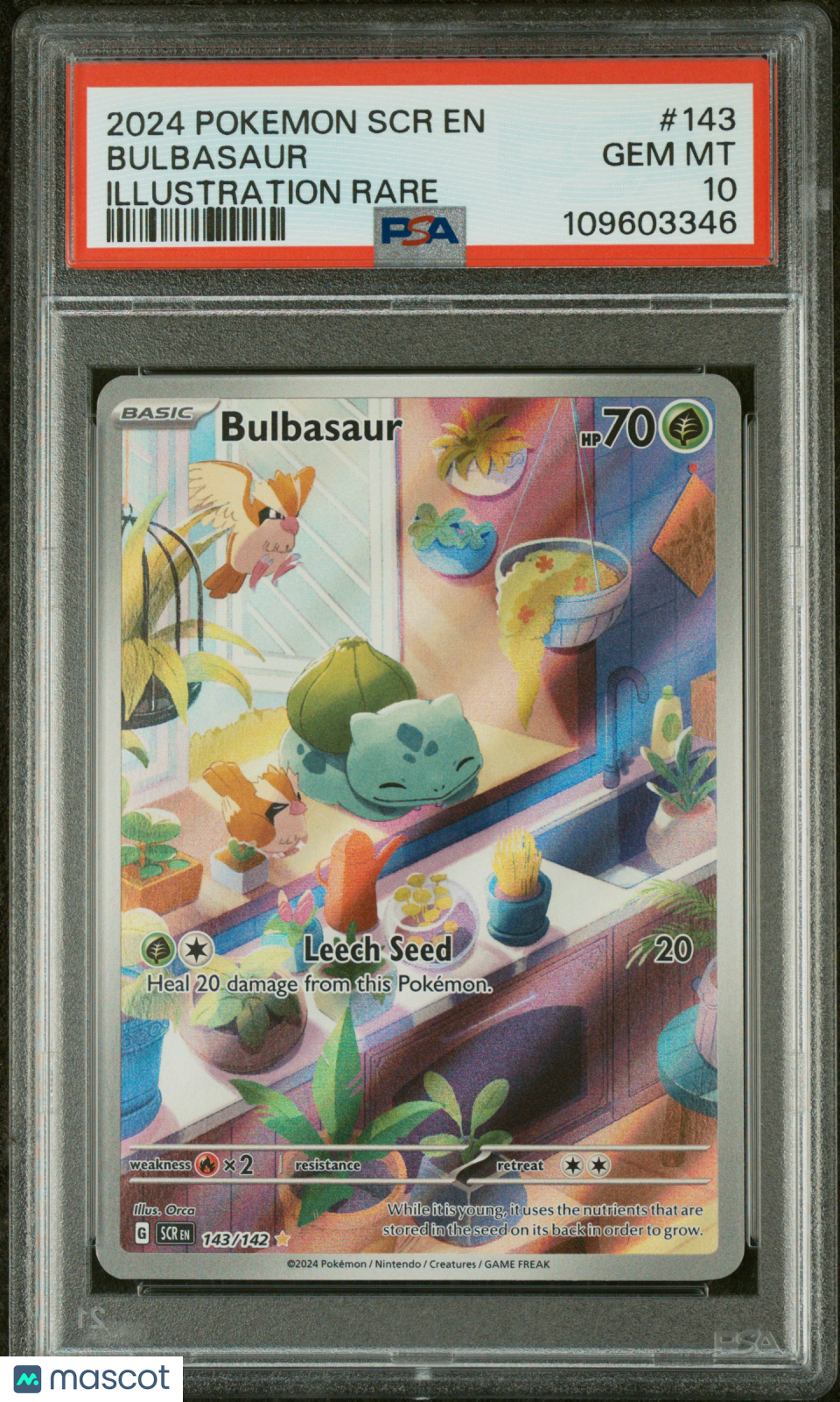 BULBASAUR 2024 Pokemon S&V Stellar Crown #143 Illustration Rare PSA 10