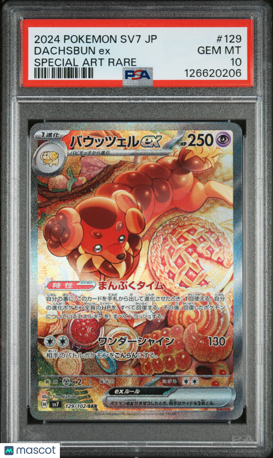 DACHSBUN EX 2024 Pokemon Japanese Stellar Miracle #129 Special Art Rare PSA 10