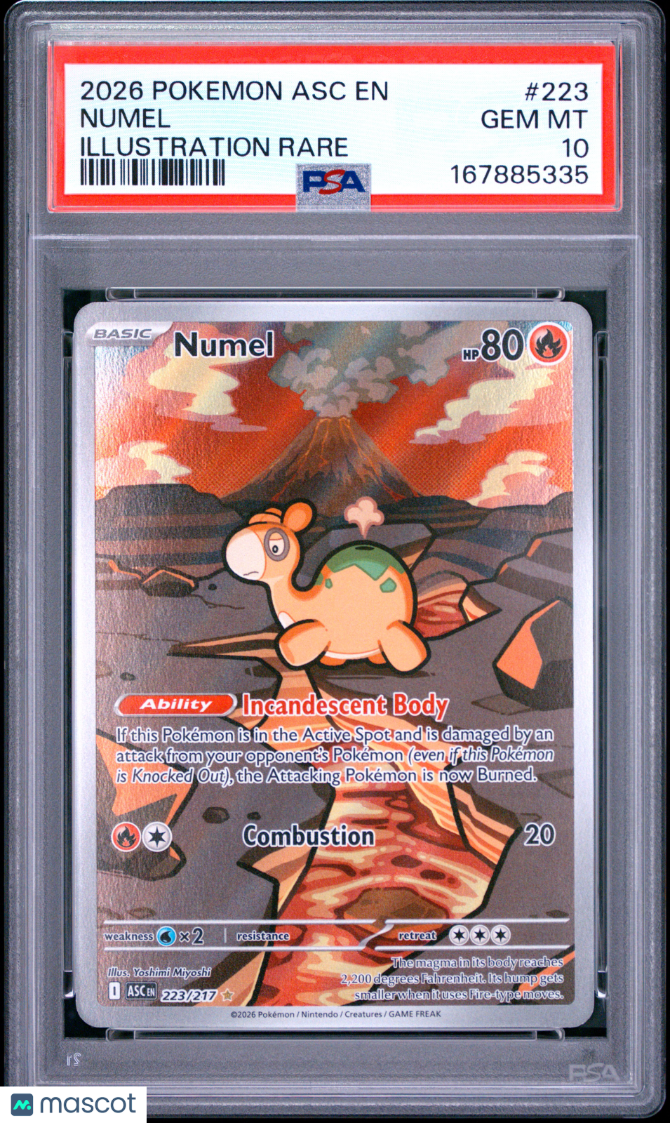 NUMEL 2026 Pokemon Mega Evolution Ascended Heroes Illustration Rare #223 PSA 10